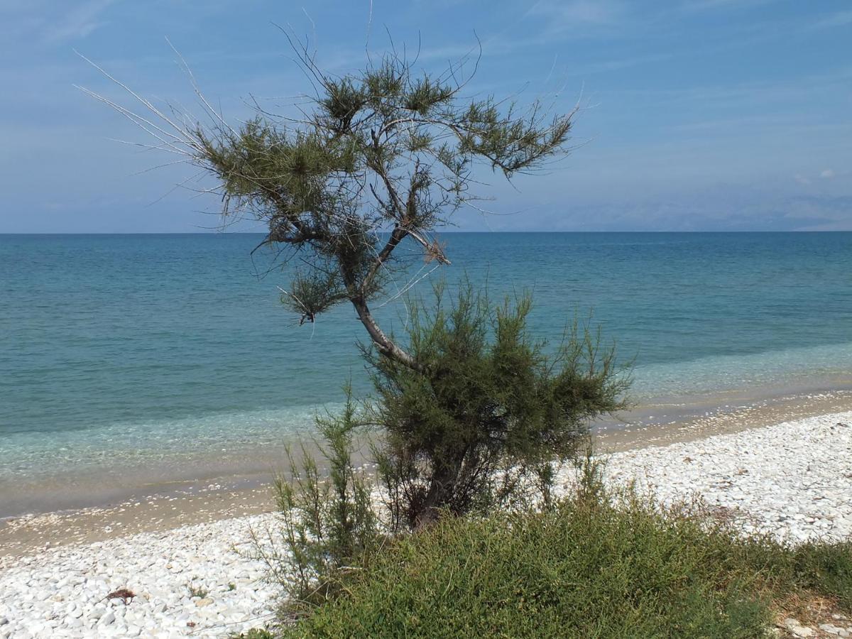 Frosos Beachfront Maisonette Acharavi Acharavi  Luaran gambar